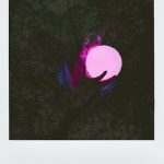 12 Photos de Profil qui Fonctionnent Les Vrais Conseils