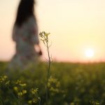 Importance dune présence en ligne pour les entreprises