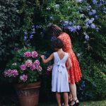 Étude de cas Quand la demande de fonds a fonctionné