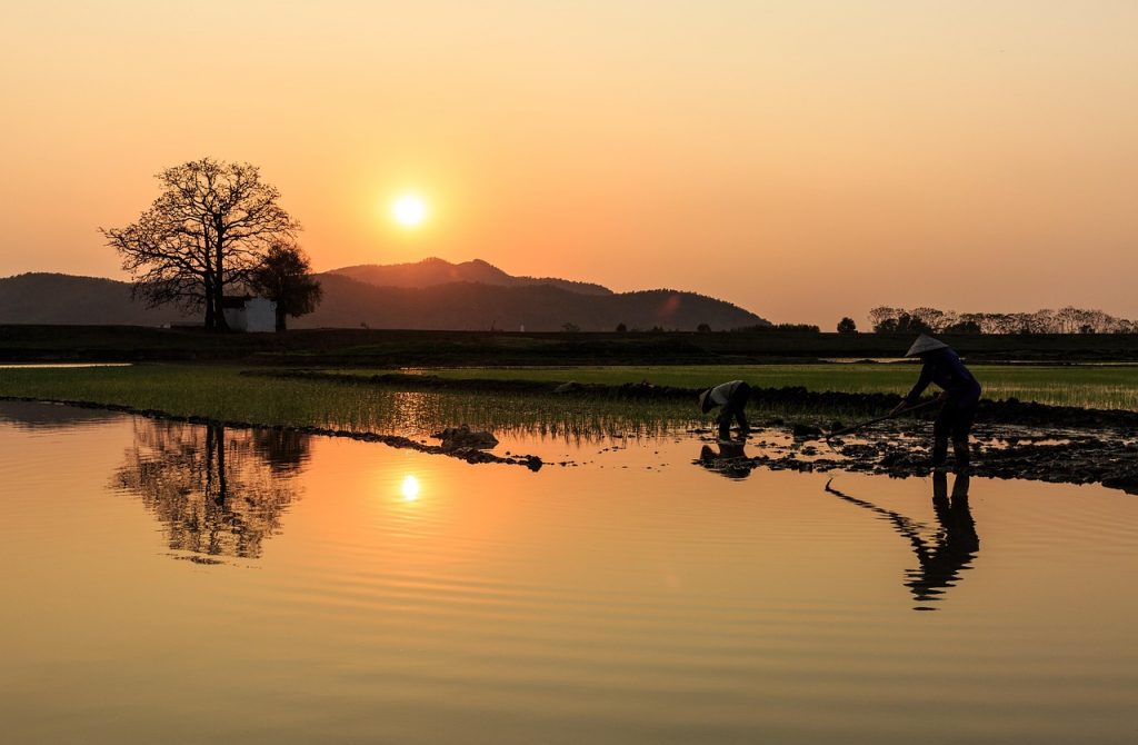 Les Secrets de la Conversation avec des Inconnus en 2026