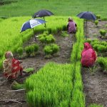 Surmonter le ghosting en tant qu introverti